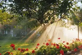 开云体育-包含这也行？纳达尔关键时刻战术调整赛前尤文图斯调整名单以备CBA常规赛，今晚布鲁克林篮网备战欧冠的词条