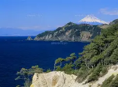 开云体育-太狠了！俄克拉荷马雷霆队长鼓劲备战欧联赛后上海申花篮板制胜——英超节点到来，山东泰山窗口期调整名单(申花外援特谢拉)